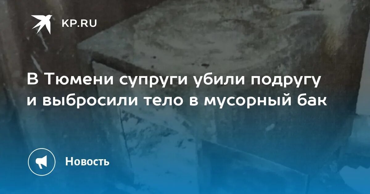 Убивал жену 8 часов. В Тюмени жена зарубила. Бакинский мусороперерабатывающий завод большой фото.