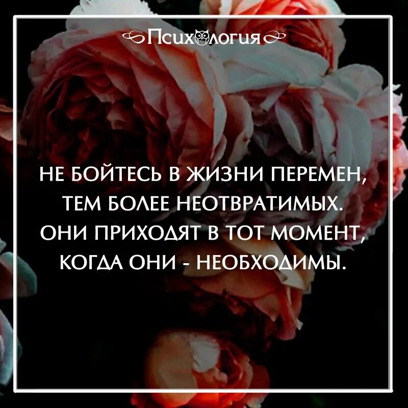 Страх жизни. Не бойся в жизни перемен. Цитаты не бойся перемен в жизни. Боюсь перемен в жизни. Не бойтесь в жизни перемен тем более неотвратимых.