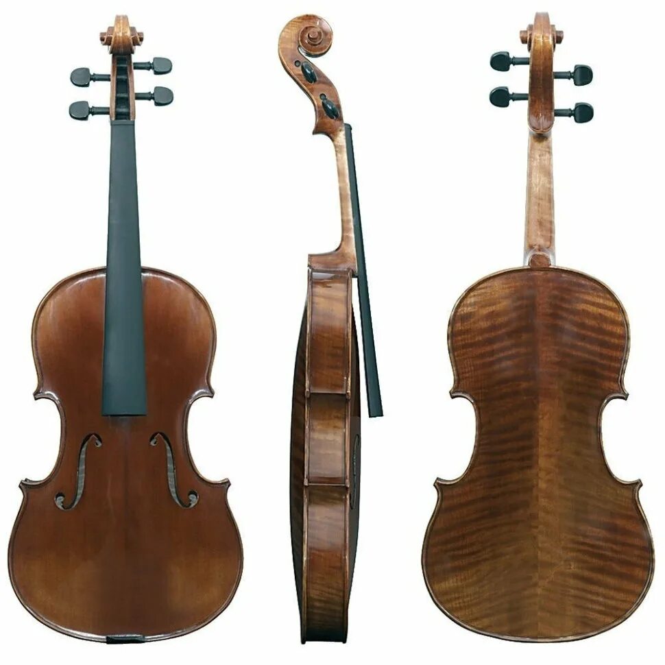 Gewa Pure Violin outfit EW 3/4. Gewa Maestro 6 Antique. Скрипка Gewa EW 4/4 PS401.621. Gewa Cello Maestro 6. Используют для скрипки