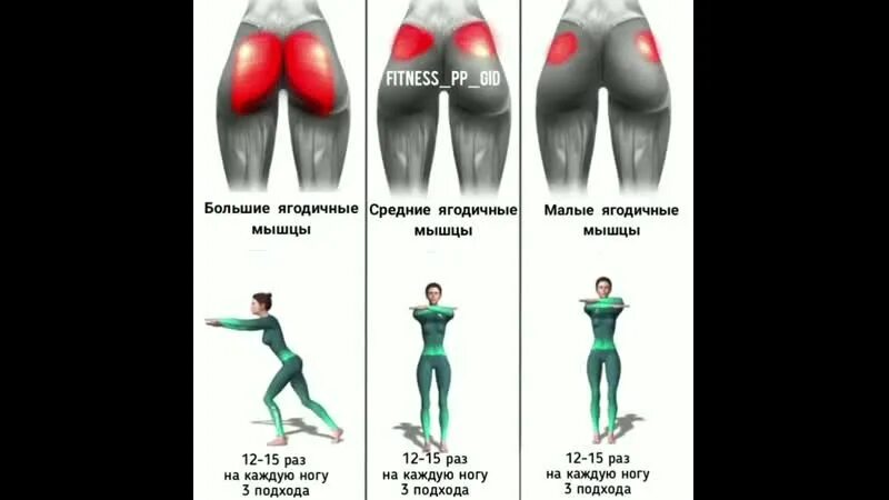 Ягодицы снизу. Упражнения на верхнюю часть ягодиц. Упражнения на разные ягодичные мышцы. Упражнения на большую ягодичную мышцу. Упражнения для накачки ягодичных мышц.