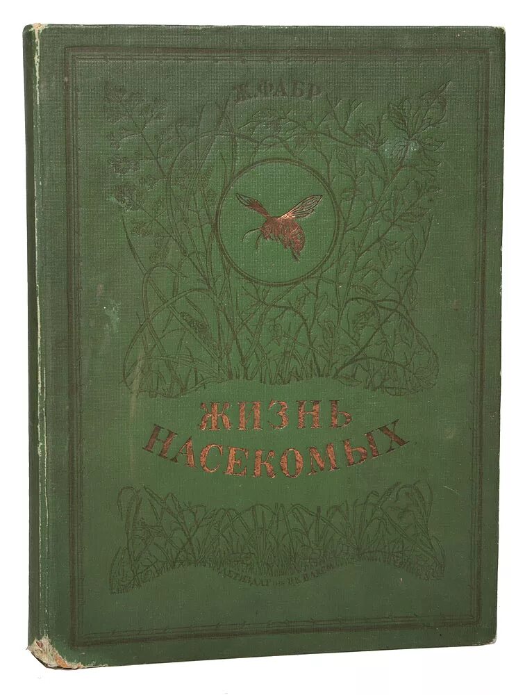 Фабр, жан анри (1823-1915). Известные уральские фабр канты. Жизнь насекомых. Книга жизнь насекомых фабр. Фабр жизнь насекомых.