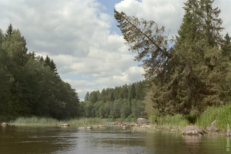 протоки реки. великая река 5 букв. каньёно образный участок реки великой. мочалово река великая. великая река 5 букв.