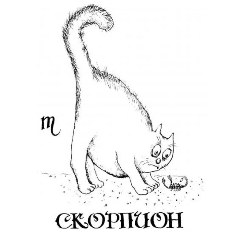 Скорпион прикол картинки. Скорпион прикол картинки