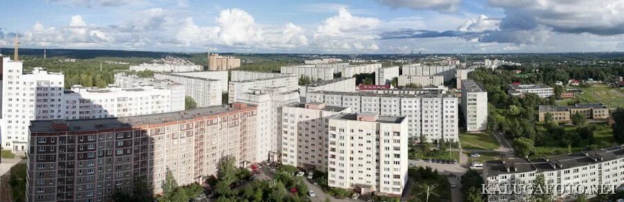 Сдэк кубяка калуга. Сдэк кубяка калуга