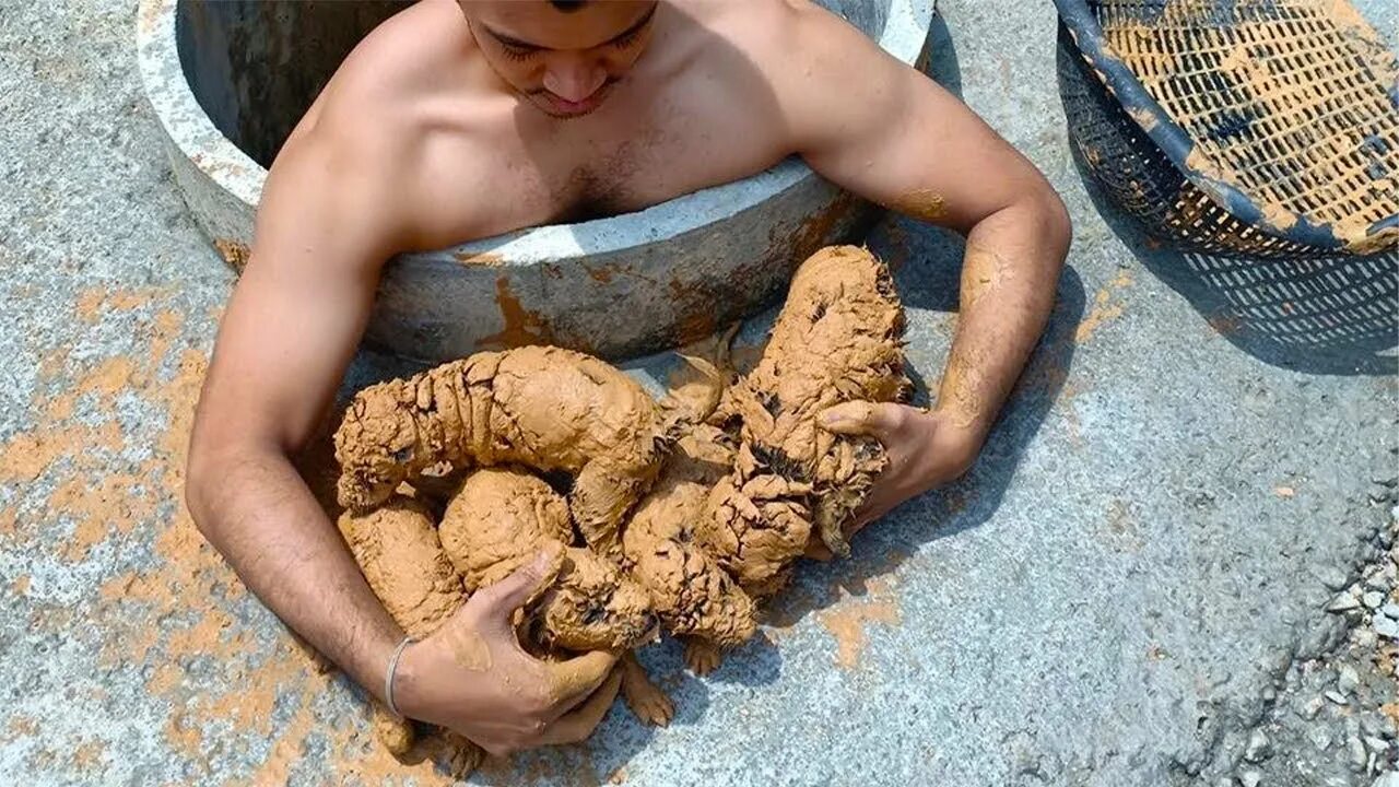 Пухлые какают. Пухлые какают