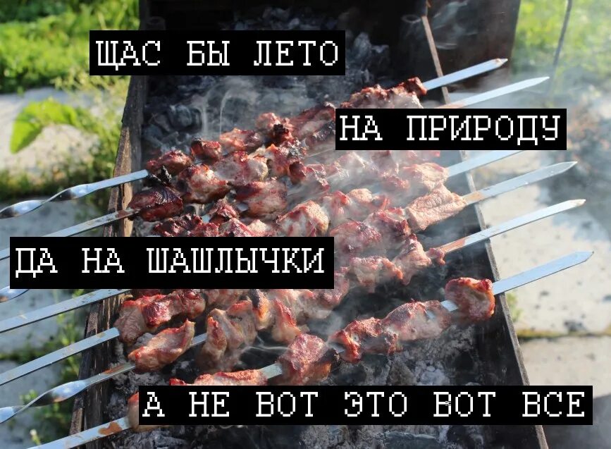 Вот это поворот. Отпуск демотиватор. Слоник на пляже. Так выглядит мужская печалька. Слоник на море.