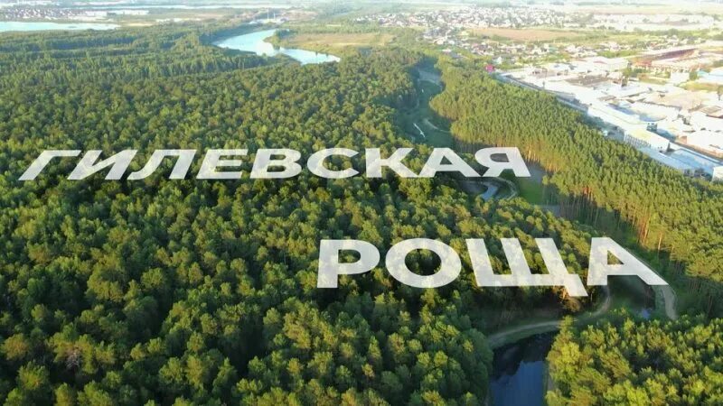 Гилевская роща тюмень зимой. Гилевская роща тюмень. Схема гилевской рощи. Гилевская роща тюмень детская площадка. Гилёвская роща.