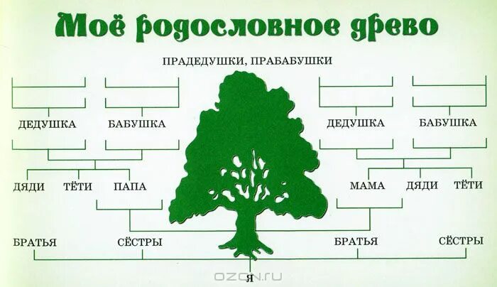 Окружающий мир 2 класс родословная учебник. Генеалогическое дерево окружающий мир. Генеалогическое дерево по окружающему миру 2 класс. Проект родословная. Проект моя родословная.