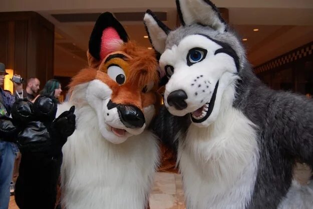 Как выглядит фурри в реальной жизни People you follow, following DᵘᵏℰDᵒᵇᵉᵣᵐₐᵑ ⛓ (@Duke_Doberman) Twitter Fursuit fur