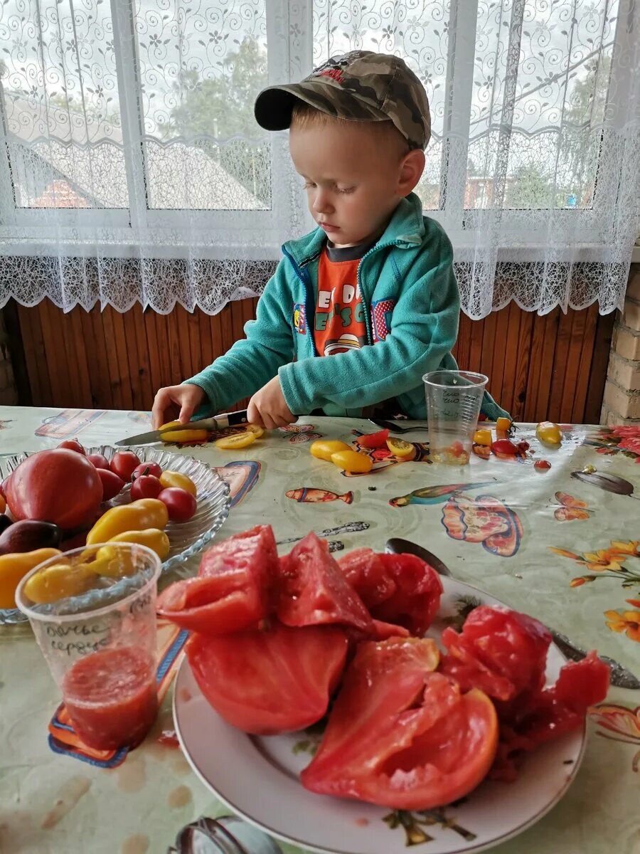 Семена томатов рязань. Томат огородник из Рязани. Рязанские помидоры.