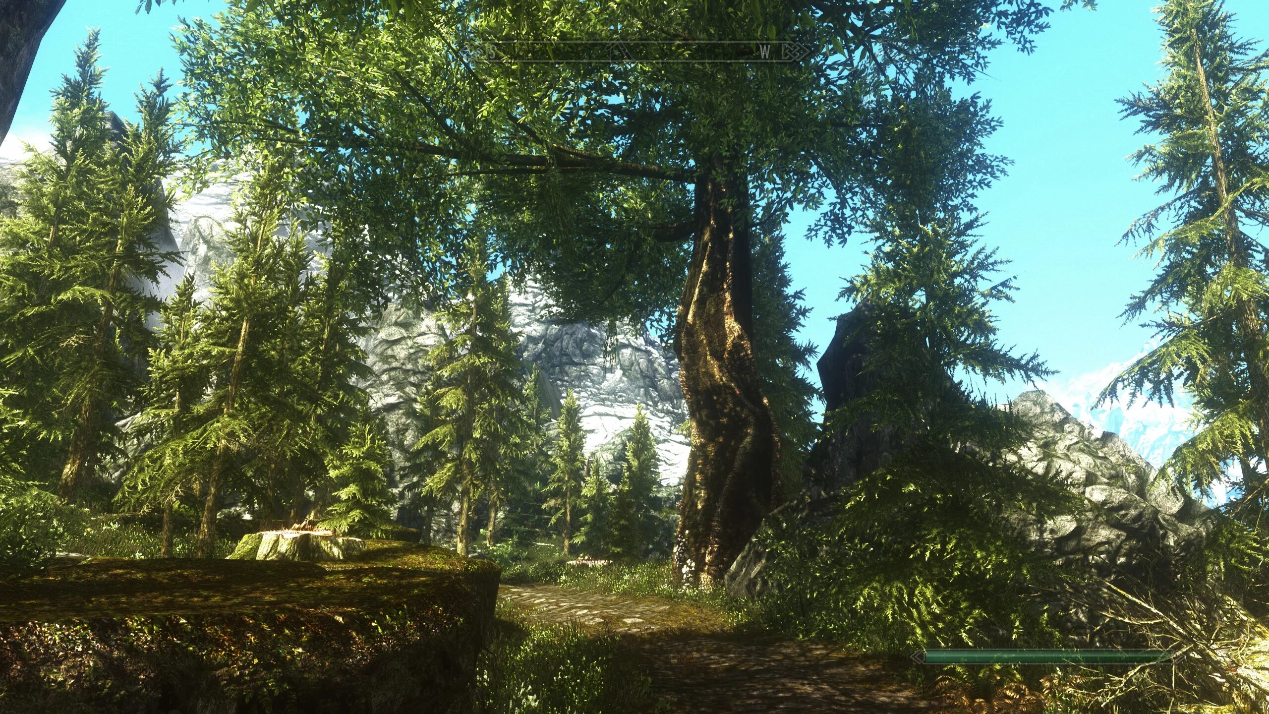 The Elder Scrolls v: Skyrim деревья. Скайрим дерево. Скайрим мод на деревья. Скай на дереве. Trees skyrim