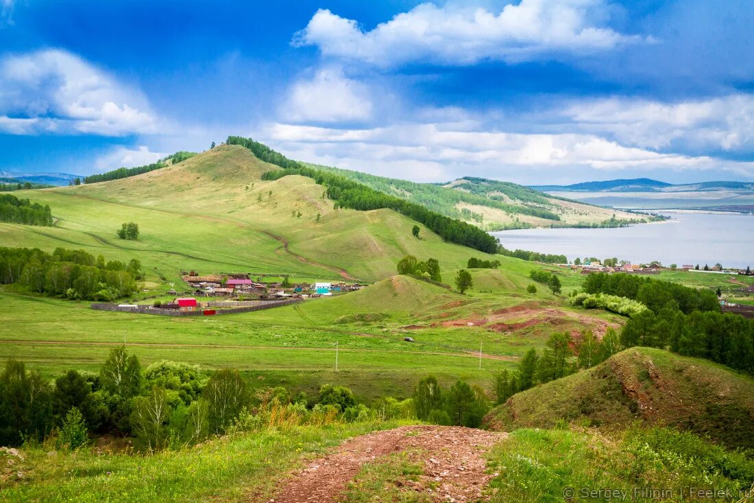 Какая поверхность в красноярском крае. Холмы Красноярского края Шарыповский район. Природа Шарыповского района Красноярского края. Село Ораки Шарыповский район Красноярский край. Озеро Ораки Шарыповский район.