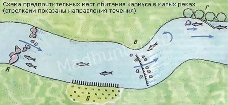 Где рыбачить на реке. Хариус места стоянки на реке. Места стоянки хариуса зимой. Рыбалка на хариуса на малых реках. Стоянки хариуса на малой реке.