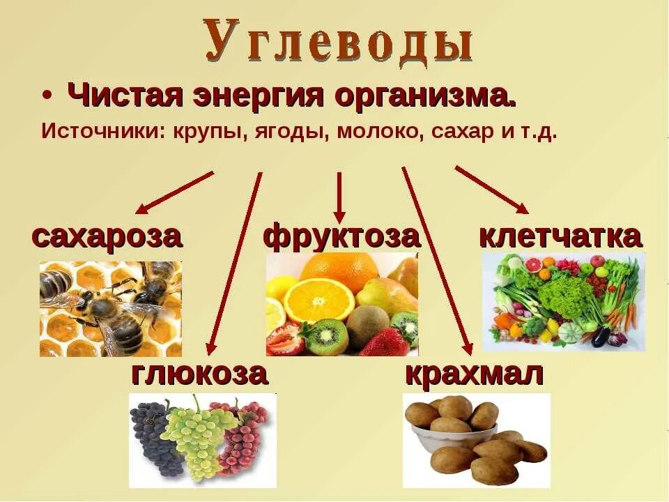 Почему нужны углеводы