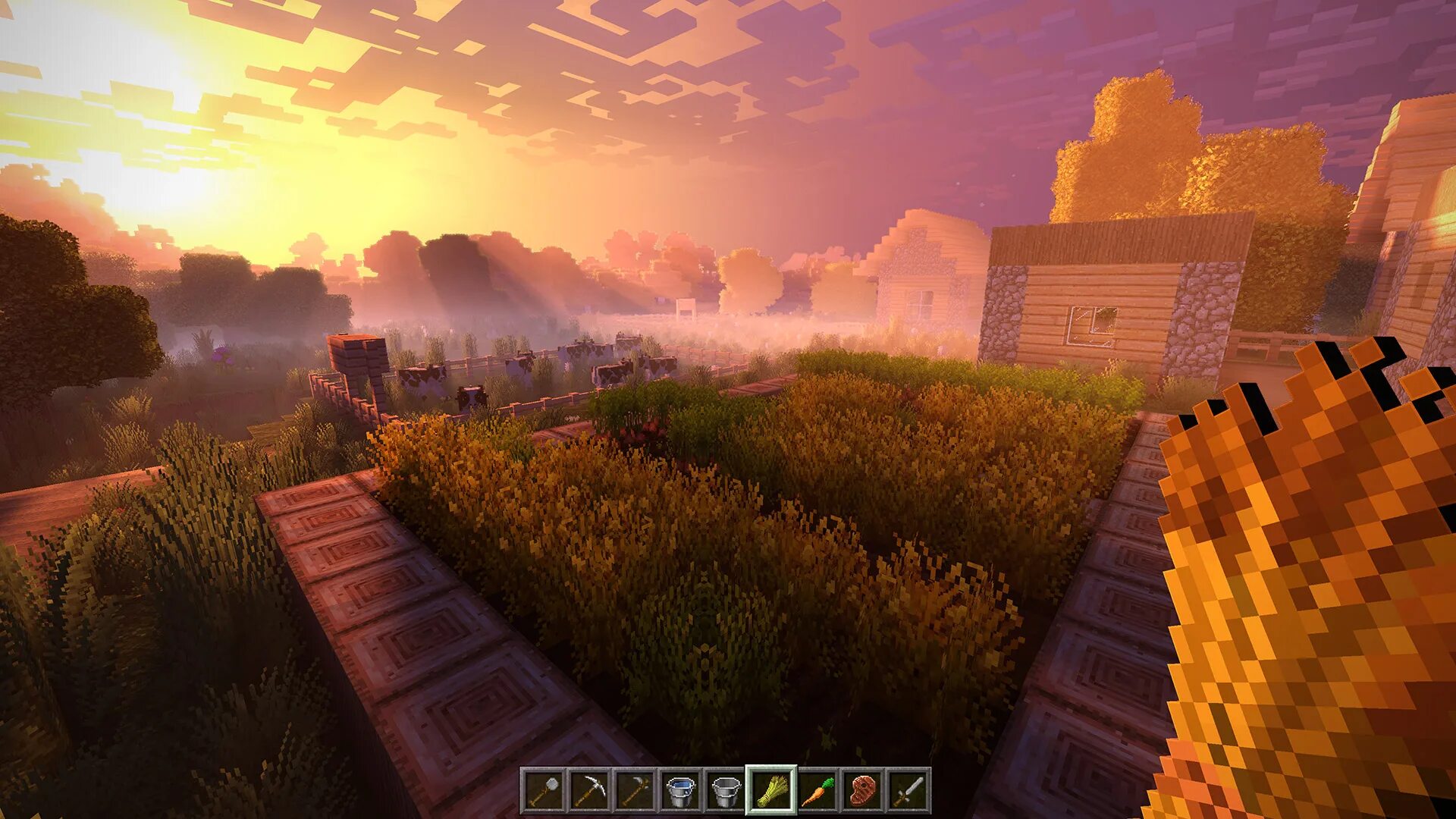 Graphics shaders