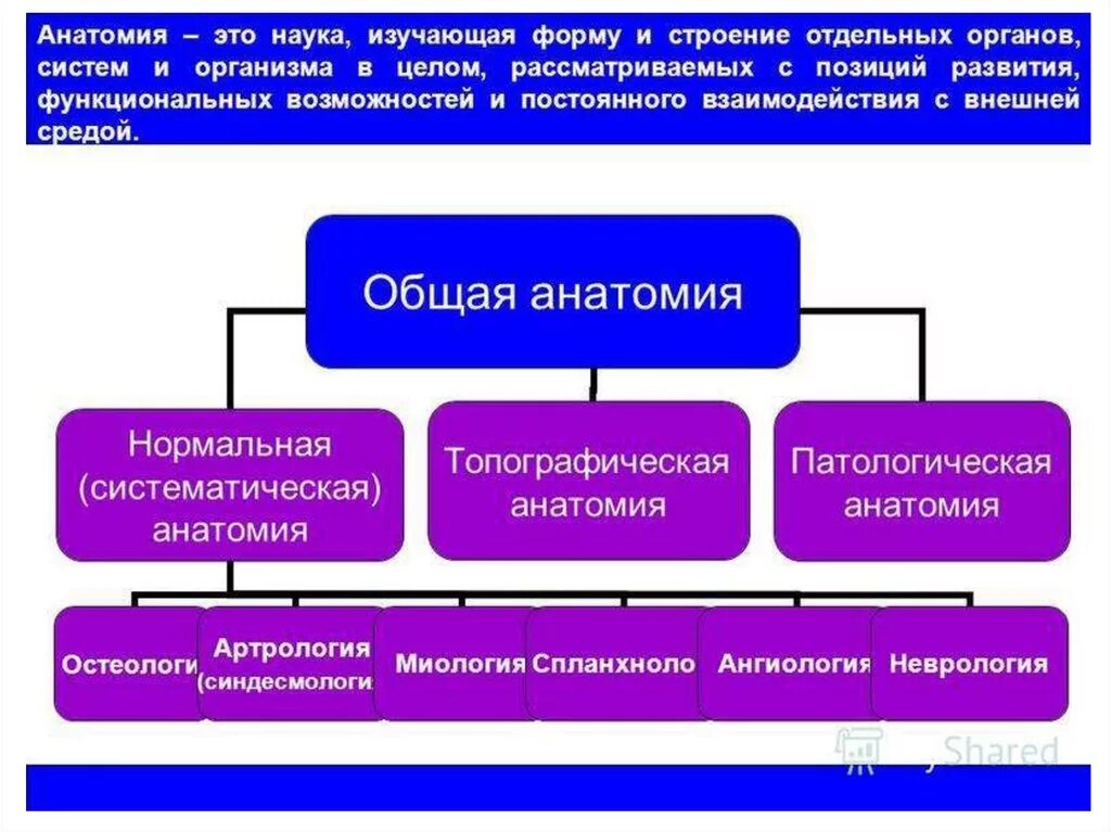 Методы изучающие анатомию