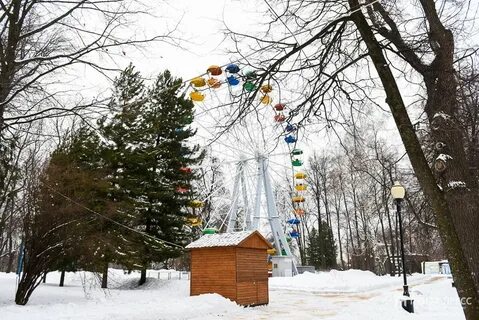 Режим работы парка белинского пенза
