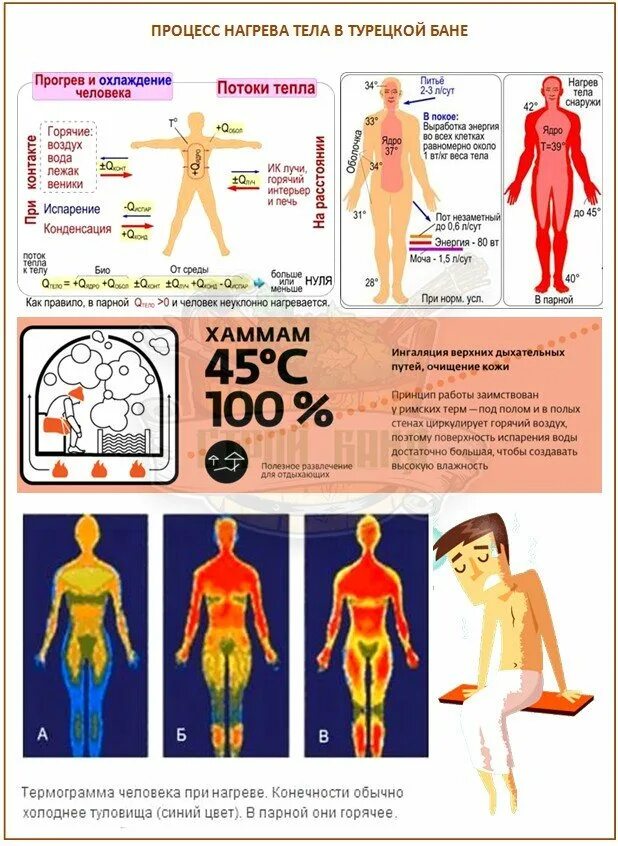 Нагрев тела человека. Воздействие бани на организм человека. Температура и влажность в русской бане. Хамам температура и влажность. Обогрев тела