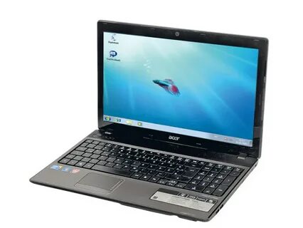Bell acer