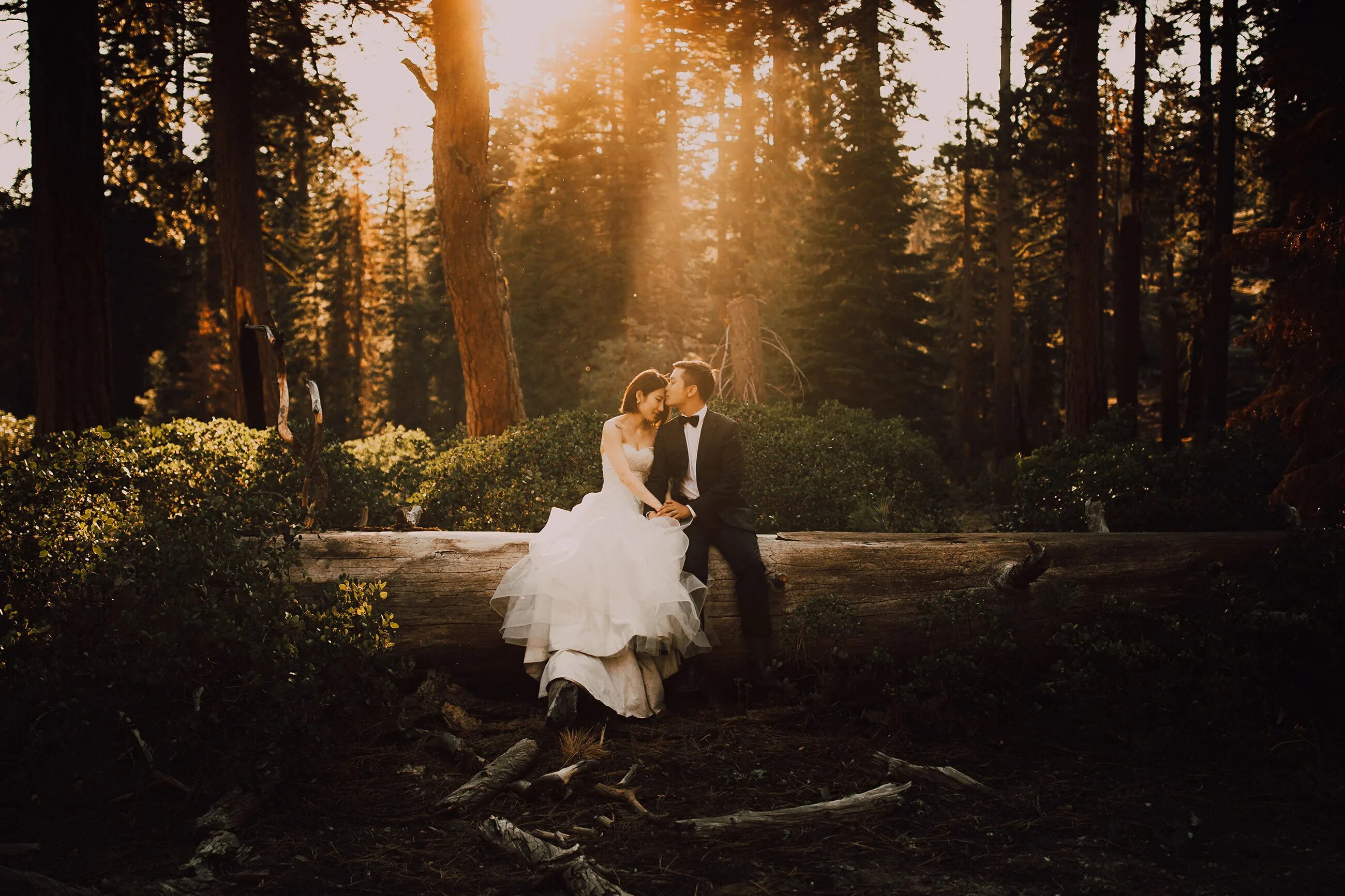 свадебные фотосессии лучших фотографов мира. самые красивые свадебные фотосессии. игорь булгак фотограф. самые крутые свадебные фотосессии. свадебные фотографы мира.