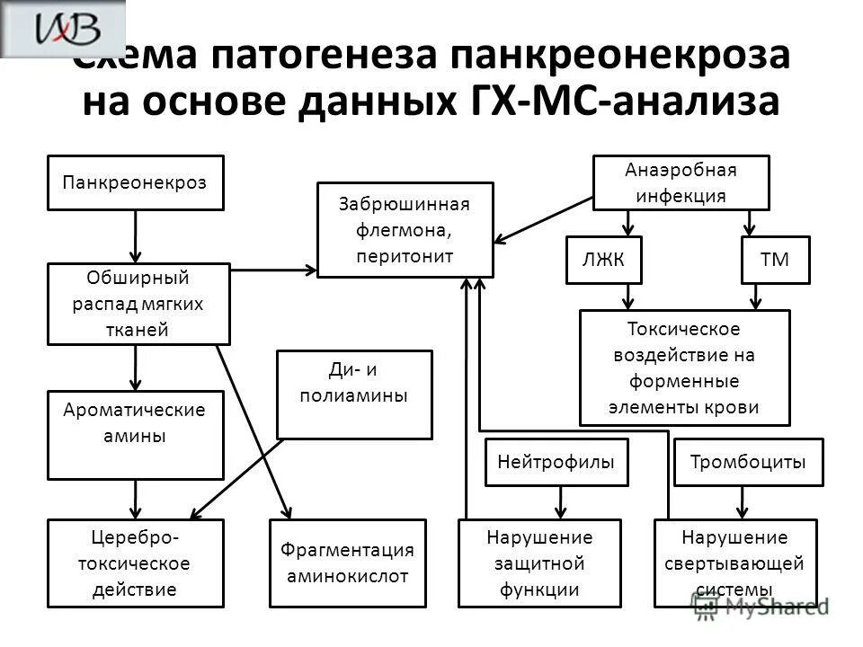 Перитонит патогенез