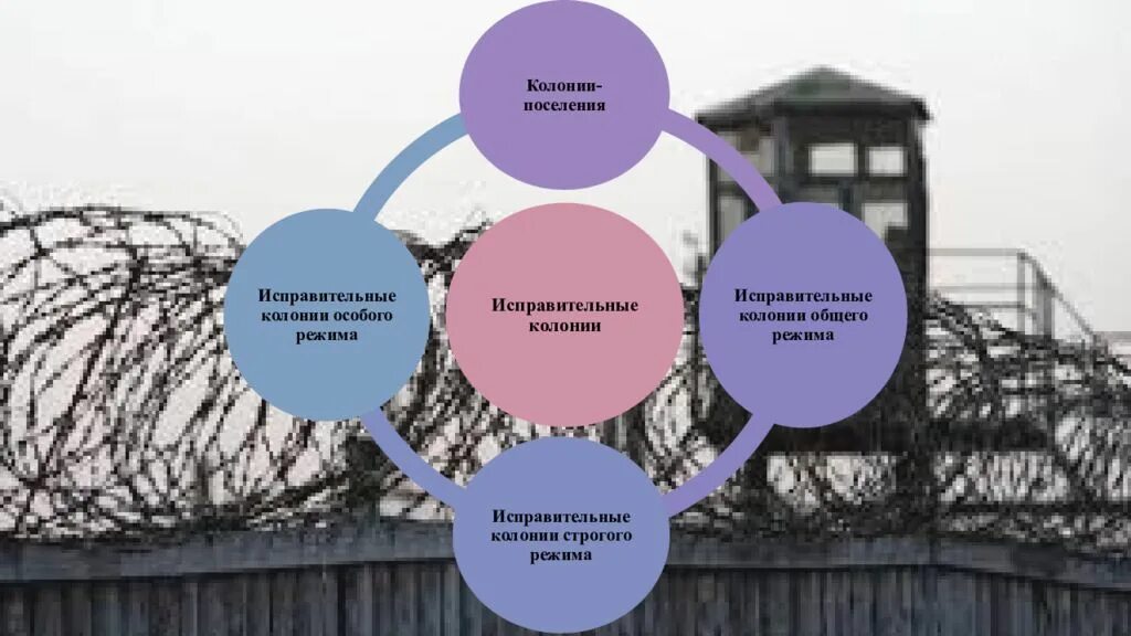 Назначение судами видов исправительных учреждений. Виды исправительных учреждений. система исправительных учреждений. исправительные колонии таблица. виды исправительных колоний.