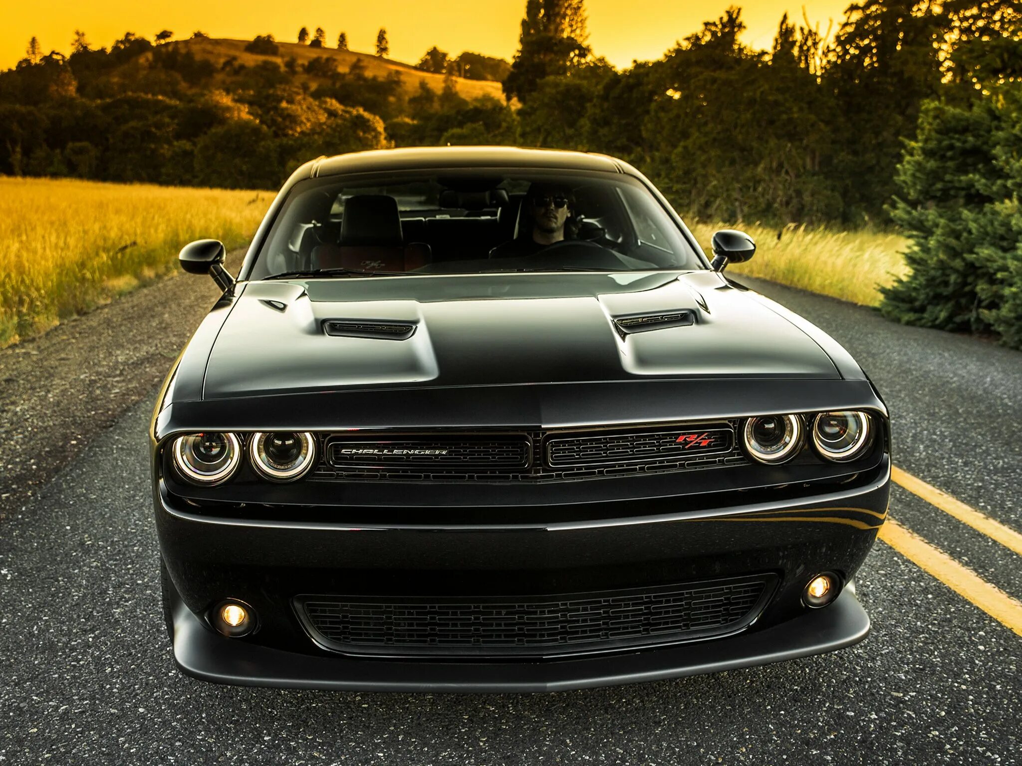 Дочь челленджер. Додж Челленджер 2014. Dodge Challenger. Дочь Челленджер 2014. Дочь Челленджер машина.