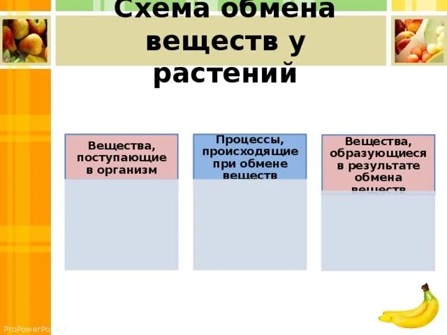 Обмен веществ у растений тест 6 класс. Схема обмена веществ у растений. Процессы происходящие при обмене веществ. Обменные процессы у растений. Процессы происходящие при обмене веществ у растений.