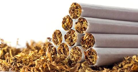 Tobacco