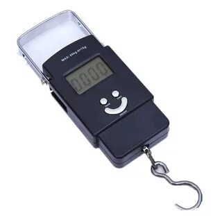 Electronic scale