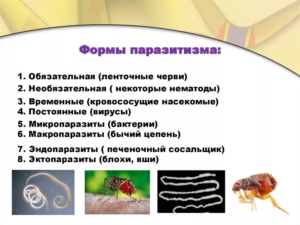 Разновидности паразитизма. Различные формы паразитизма. Виды паразитирования. Паразитизм формы паразитизма.