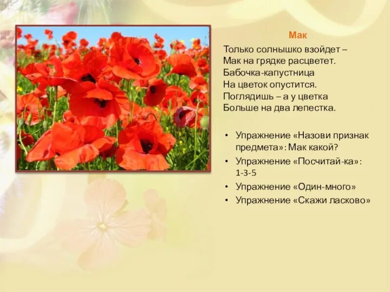 Простыня цвета мак текст. Стихи про маки. стихотворение про мак. стих про маки короткие. стихи о маках короткие красивые.