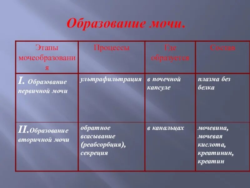 Этапыоброзования мочи. Этапы образования мочи. Стадии образования мочи. Фазы образования мочи.