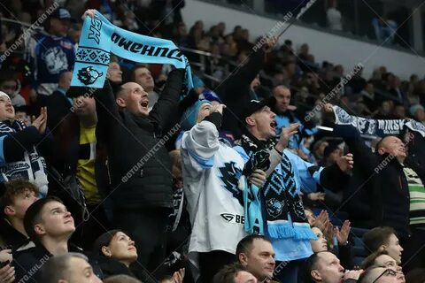 Торпедо динамо минск прямая
