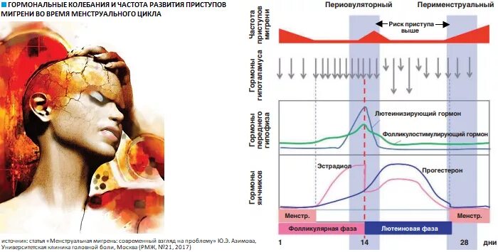 Колебания гормонального фона. Мигрень менструационного цикла. Колебания гормонального фона у женщин. Эстроген-ассоциированная мигрень.