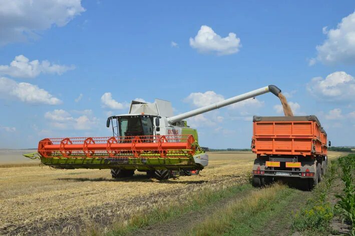 Сельхозинвест. Ооо сельхозинвест тербуны. Сельхозинвест липецк. Глава администрации тербунского района липецкой области. Сельхозинвест тербуны.