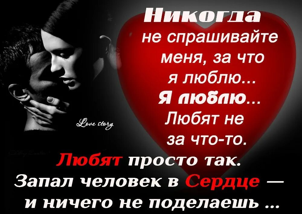 Я люблю тебя цитаты. Не бросай меня любимый стихи. Статус ты мне нужен. Любимых не бросают цитаты