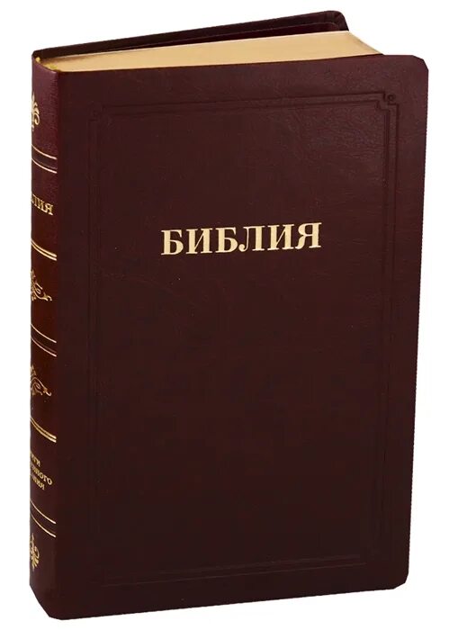 Издательство олма библия. Вторая книга библии 5 букв. Вторая книга библии 5 букв. Библия ветхий завет и новый завет. Книжка библия.