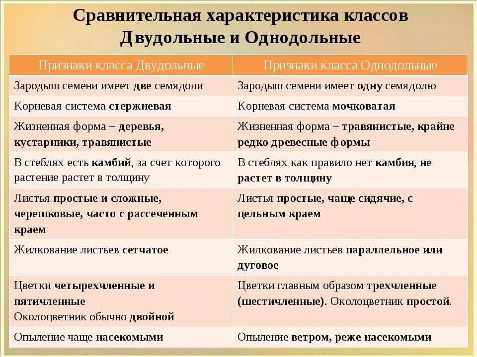 Тест класс однодольные 7 класс. Таблица по биологии 6 класс сравнение двудольных и однодольных. Представители однодольных и двудольных растений таблица. Отличия однодольных и двудольных растений таблица. Строение однодольных и двудольных растений таблица.