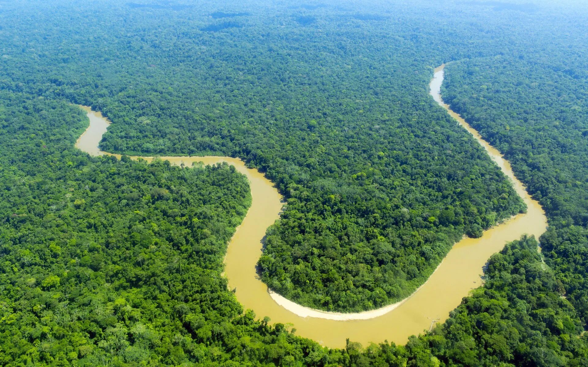 Амазонка сток. Амазония река Амазонка. Река Амазонка в Бразилии. Бразилия тропические леса Сельва. Амазонка река Укаяли.