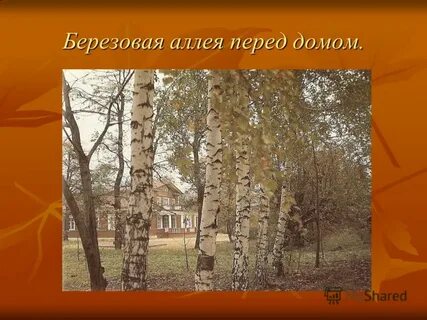 Стих аллея