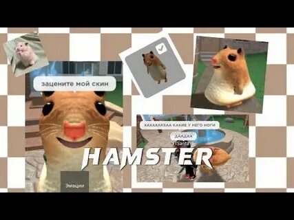 Зачем нужны скины в хомяке