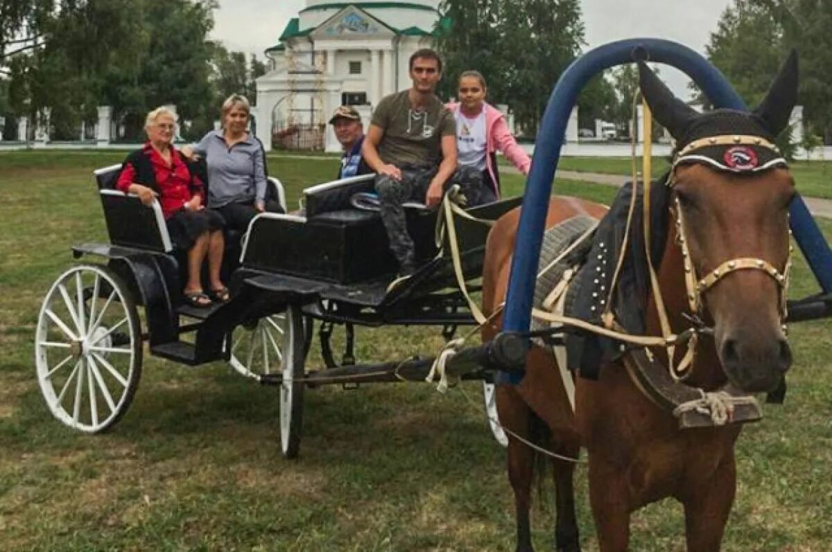 Подслушано болдино в контакте. Большое Болдино конюшня. Музей Болдино конный двор. Большое Болдино музей. Конюшня новая большое Болдино.