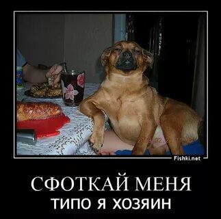 Говори говори не останавливайся