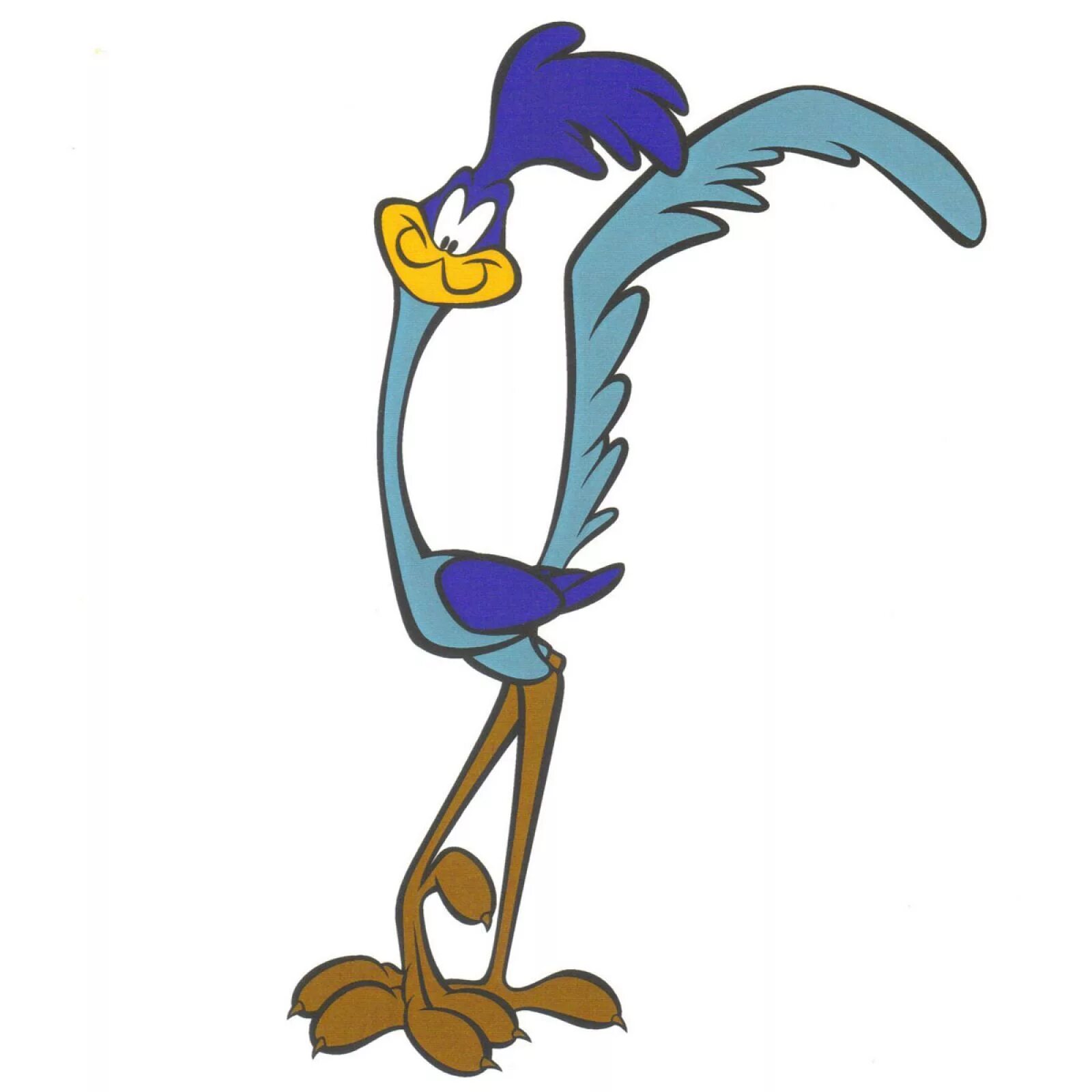 Бегун скороход. Roadrunner looney tunes. Бегун скороход. Cartoon run chasing. Бегун в шортах.