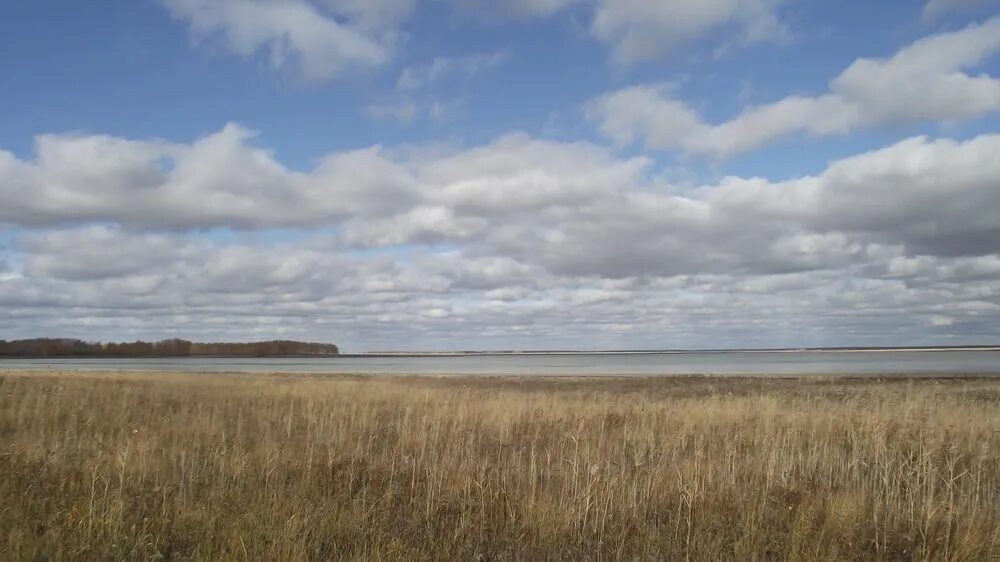Село лопатки курганская область. Село большое курейное курганская область. Село большое курейное курганская область. Больше курейное школа фото. Село большое курейное курганская область.