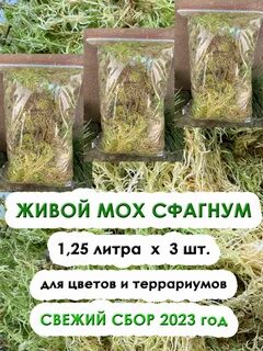 Набор мох