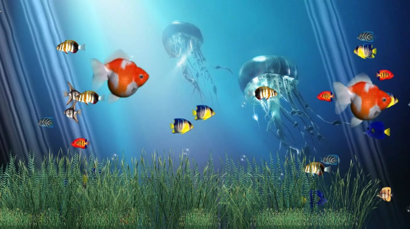 Живые обои анимация. Живой аквариум. Обои аквариум. Аквариум 3д. Живые рыбки.