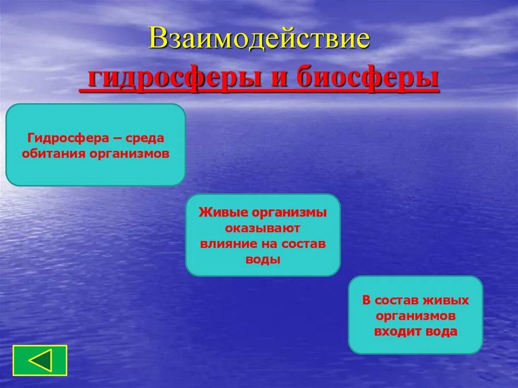 Связь биосферы с гидросферой. Взаимодействие гидросферы и биосферы. Взаимосвязь биосферы и гидросферы. Взаимодействие атмосферы и гидросферы.