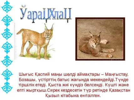 Еркектердің порносы: айырмашылығы